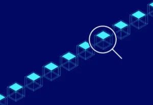 What Is a Blockchain Explorer?